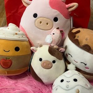 ON HOLD ‼️(DO NOT BUY)RESERVED Squishmallow Bundle for Eva_joy